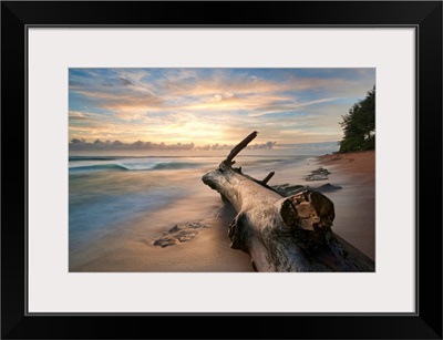 Tree log on beach at sunrise in Kauai.
