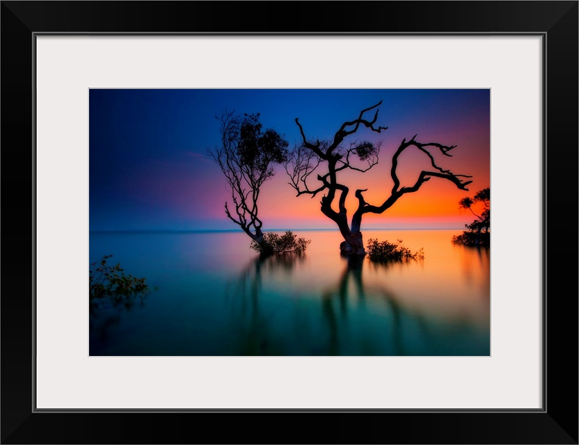 Silhouette of two crooked, twisted trees submerged in water, as the sunlight glows from the edge of the ocean in Queenslan...