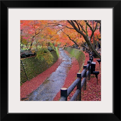 Trees with autumn colors along bending river in Kyoto with red leaves
