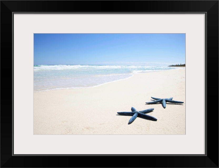 Tropical Central American beach with flawless white sand and gentle waves with two starfish in the foreground.