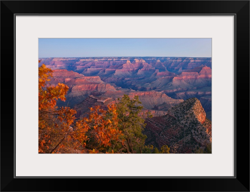 Giant, landscape photograph of fall colored tree tops overlooking large rock formations as the sun rises over the Grand Ca...