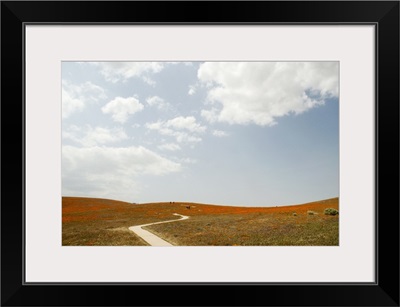 USA, California, Antelope Valley, walking trail in California Poppy Reserve