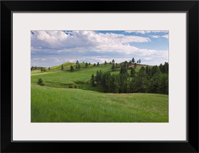 USA, South Dakota, Meadow in Custer State Park