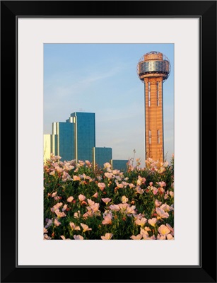 Wildflowers and Dallas skyline at sunset with Reunion Tower, Texas