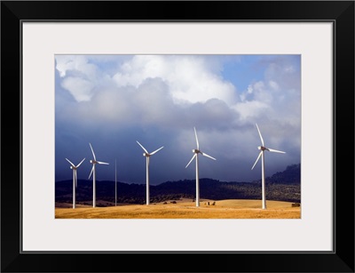 Wind Farm In Spain