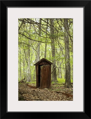 Wooden outhouse in the forest