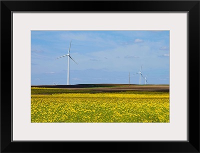 Yellow wildflowers cover field in rural Illinois. Wind turbines are lined up in field.