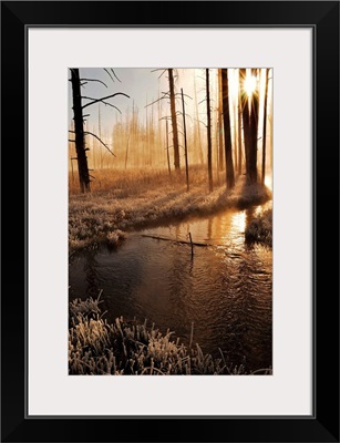 Yellowstone National Park at morning.