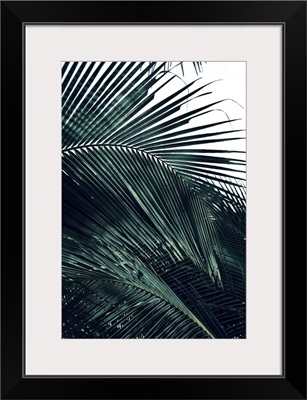 Contemporary Palm Leaves 2
