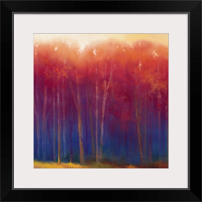 Pastel colors to create a gradient in this landscape of slender tress on the edge of a forest meadow on a square Giclee pr...