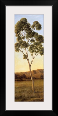 Lonely Eucalyptus I