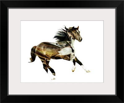 Painted Horses E