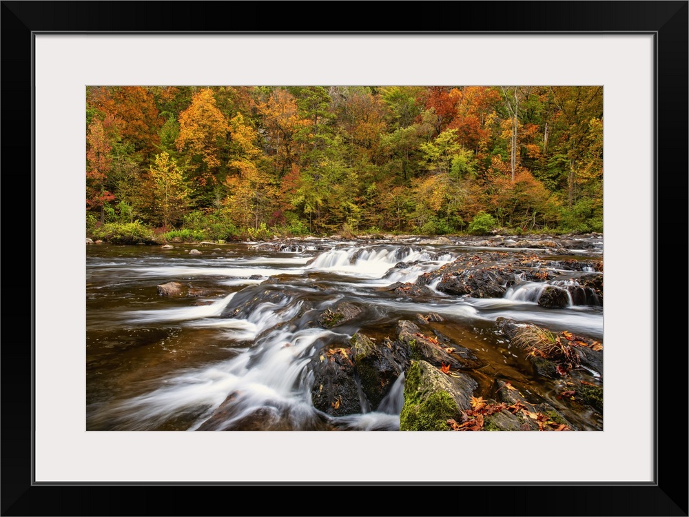 Autumn colors paint the banks along Tennessee's Tellico River, one of the last remaining true wild rivers in the lower App...