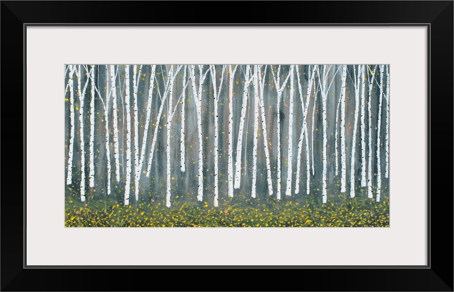 Rows of Birch trees with yellow Autumn leaves falling to the ground.