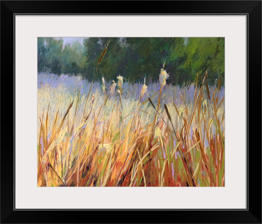 Cattails