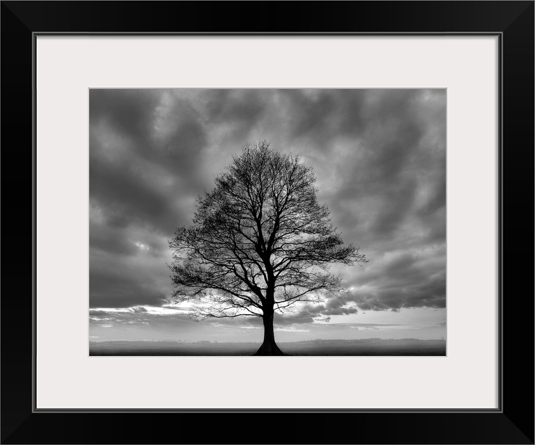 A horizontal black and white photograph of a single tree in a field covered in mist with dramatic clouds in the sky.