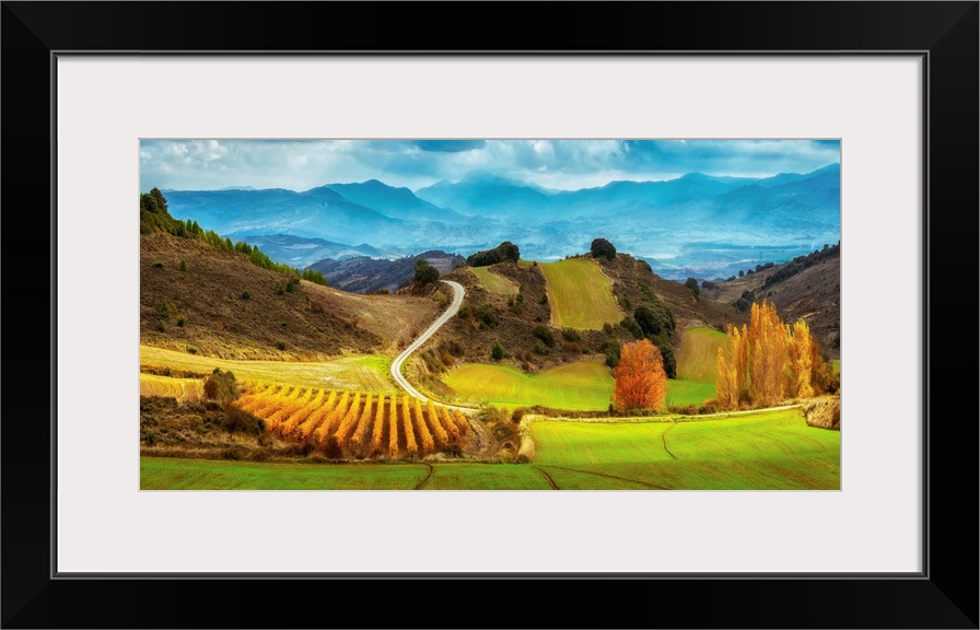 Wine field and hills in Navarra.