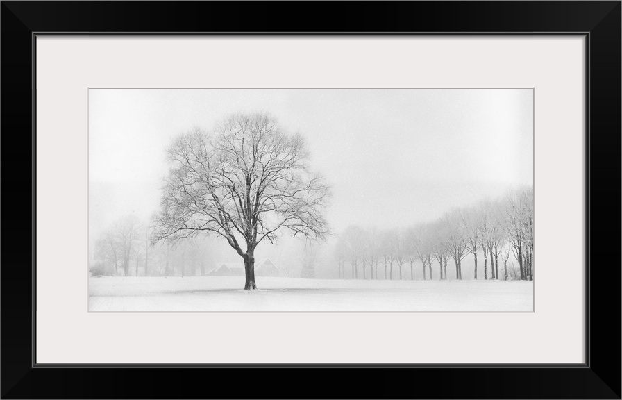 A photograph of an idyllic countryside scene in winter with trees and the landscape covered in snow.