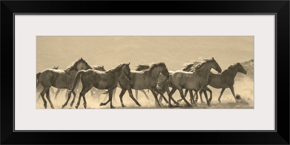 Photograph in sepia of a parade of horses in a dusty field.