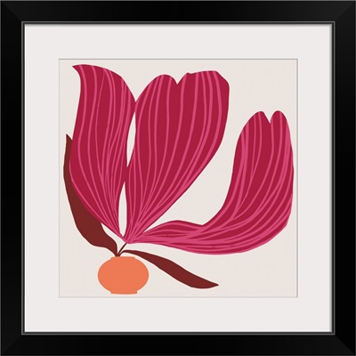 Garnet Tulip