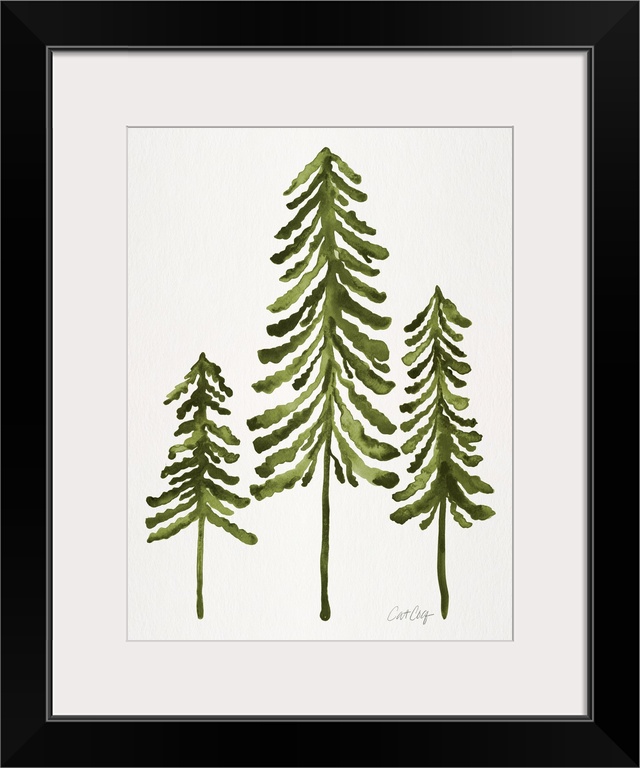 Sage Pine Trees