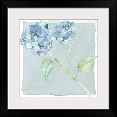Watercolor floral - hydrangea