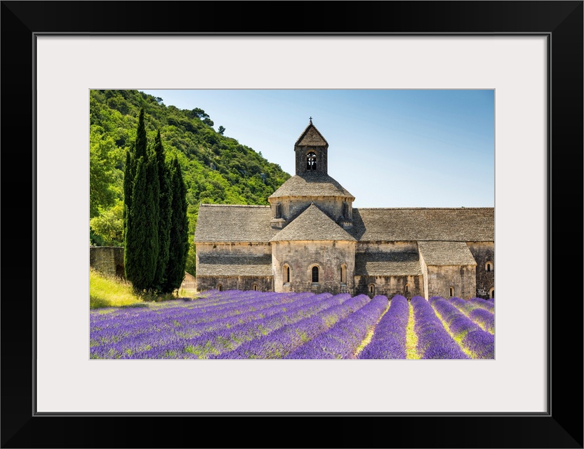 Abbaye De Senanque, Provence, France