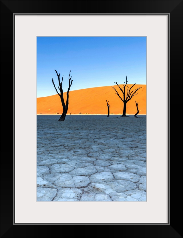 Africa, Namibia, Deadvlei, Namib desert, dead acacia trees