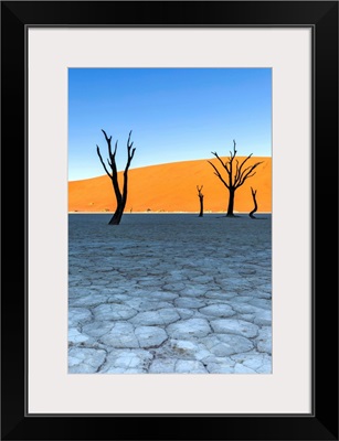 Africa, Namibia, Deadvlei, Namib desert, dead acacia trees