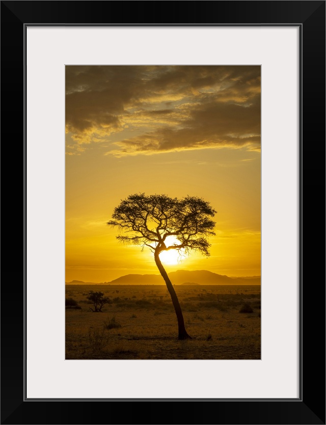 Africa, Namibia. Namib Naukluft area. A sunset with a tree.