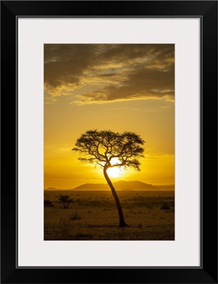 Africa, Namibia, Namib Naukluft Area, A Sunset With A Tree