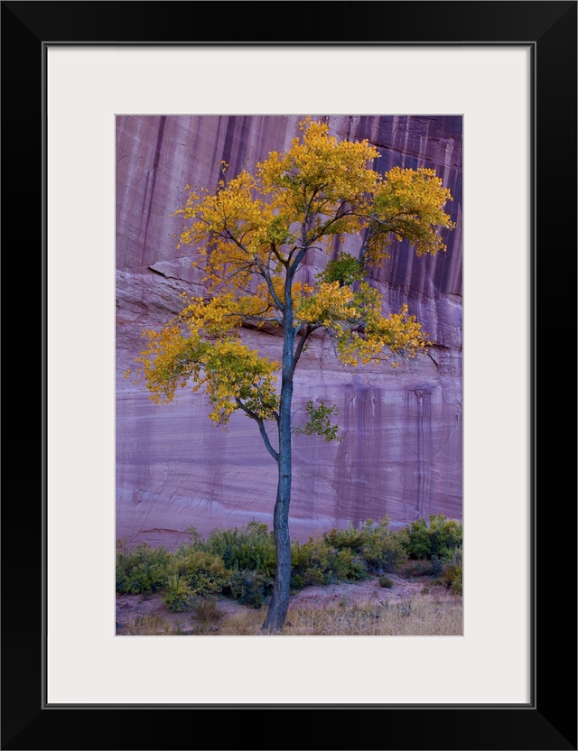 USA, Arizona, Canyon de Chelly National Monument