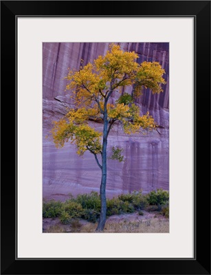 Arizona, Canyon de Chelly National Monument