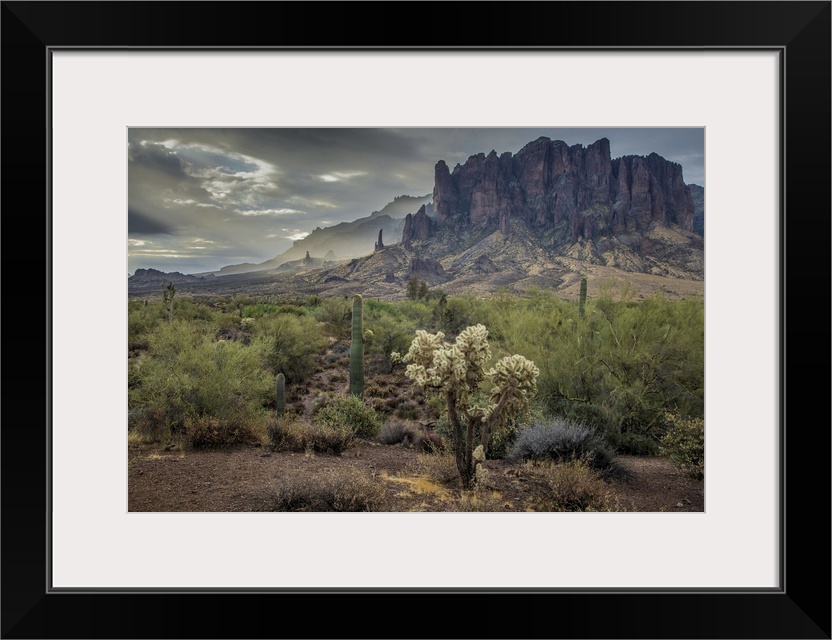 USA, Arizona, Southwest, Maricopa County, Apache Junction, Lost Dutchman State Park, Superstition mountains.