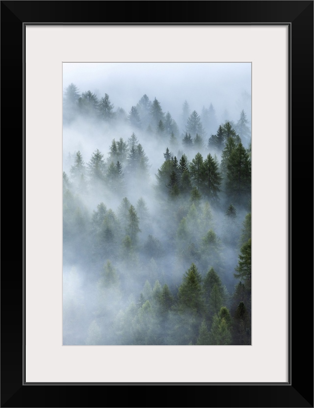 As the fog started to lift, layers upon layers started to appear and reveal the forests below the Giau Pass. Dolomites, It...