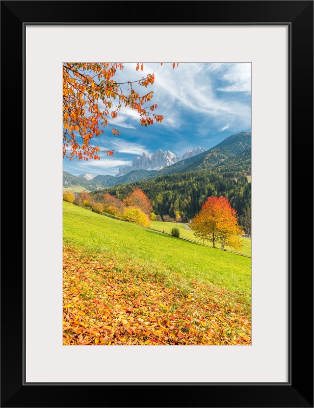 Funes Valley, Dolomites, Province Of Bolzano, South Tyrol, Italy. Autumn Colors In The Funes Valley With The Odle Peaks In...