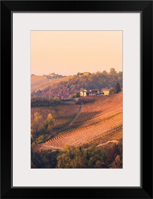 Barolo, Cuneo Province, Piedmont, Italy