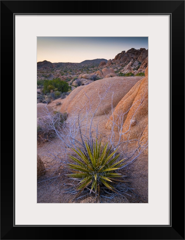 USA, California, Joshua Tree National Park