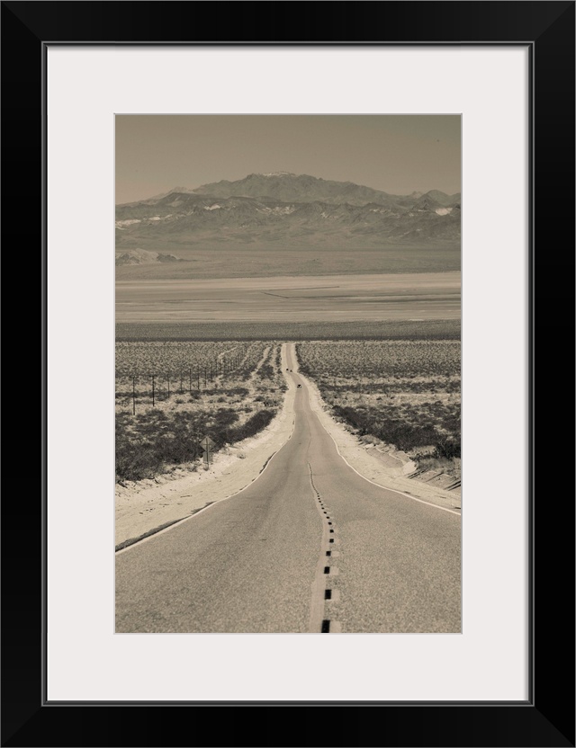 USA, California, Mojave Desert, Amboy Road