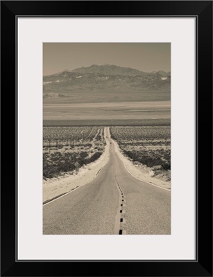California, Mojave Desert, Amboy Road
