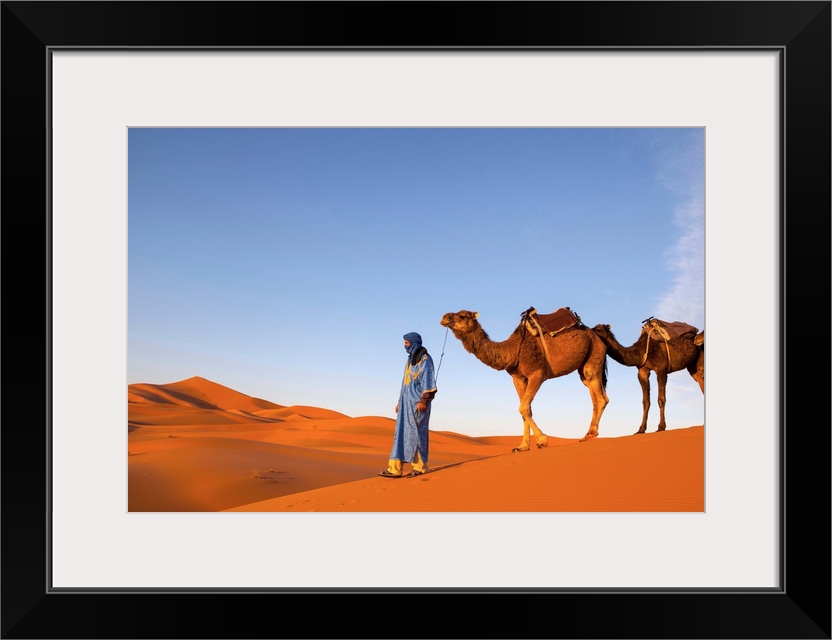 Camel Driver, Sahara Desert, Merzouga, Morocco, (MR)