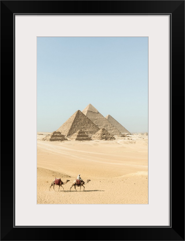 Camel train at the Pyramids of Giza, Giza, Cairo, Egypt