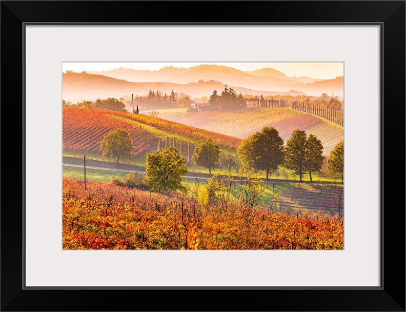 Castelvetro, Modena, Emilia Romagna, Italy. Sunset over the Lambrusco Grasparossa vineyards and rolling hills in autumn.