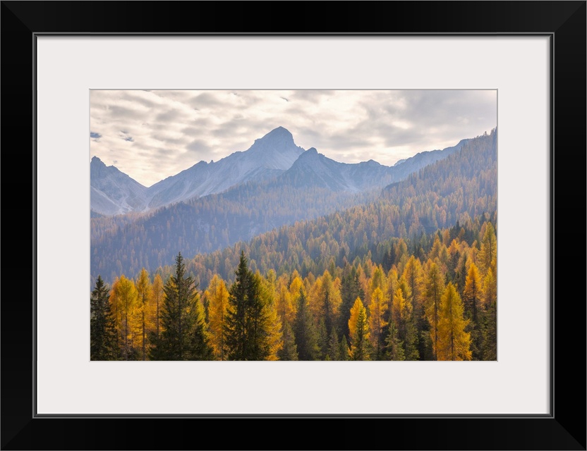 Cima Spe, Duranno - Preti group, Dolomites, Pieve di Cadore, Belluno province, Veneto, Italy.