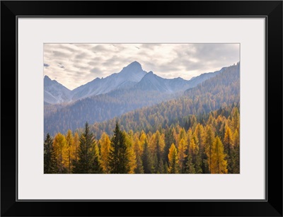 Cima Spe, Duranno, Dolomites, Pieve Di Cadore, Belluno Province, Veneto, Italy