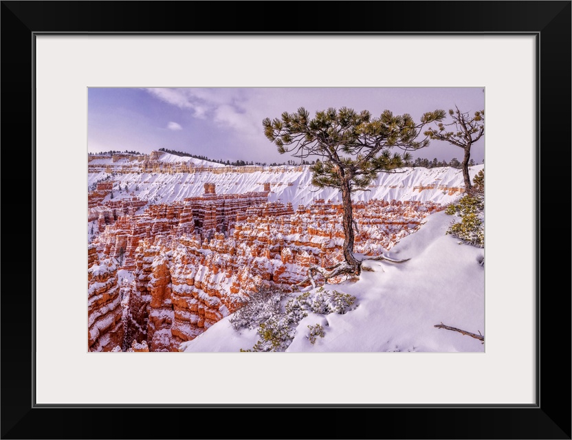 USA, Southwest, Colorado Plateau, Utah, Bryce Canyon, National Park