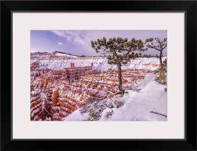 Colorado Plateau,Utah,Bryce Canyon, National Park