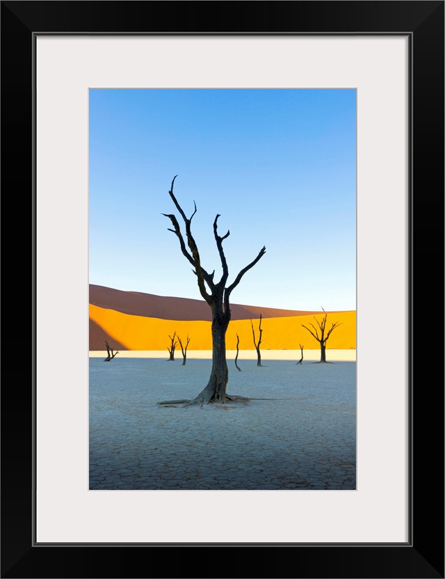 Dead Vlei, Sossusvlei, Namib desert at sunrise, Namibia, Africa.