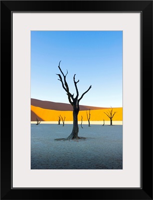 Dead Vlei, Sossusvlei, Namib desert at sunrise, Namibia, Africa