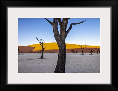 Deadvlei, Naukluft National Park, Namibia